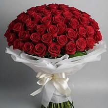 Букет 101 Красная роза Блэк Мэджик в Васюринской
