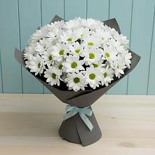 Букет цветов из:  Хризантемы в Васюринской