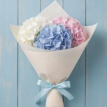 Букет цветов из:  Гортензия в Васюринской