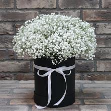 Цветочная композиция из Гипсофила в шляпной коробке в Васюринской