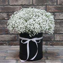 Цветочная композиция из Гипсофила в шляпной коробке в Васюринской