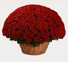 Премиум букет из: Розы в Васюринской