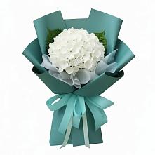 Букет цветов из:  Гортензия #REPLACE_PRED# Васюринской